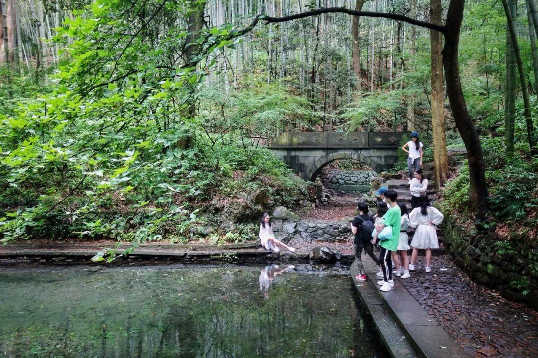 杭州云栖竹径旅游攻略：四季美景、交通路线与摄影打卡全指南